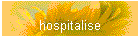 hospitalise