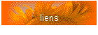 liens
